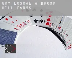Gry losowe w  Brook Hill Farms