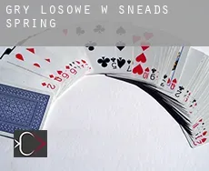 Gry losowe w  Sneads Spring