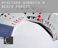 Wyścigów konnych w Beech Forest