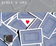 Bingo w  Amo