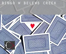 Bingo w  Belews Creek