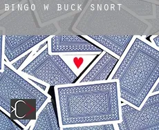 Bingo w  Buck Snort