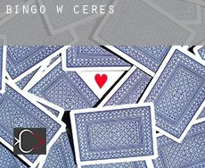 Bingo w  Ceres