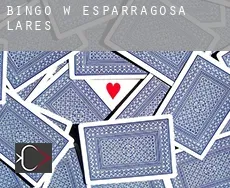 Bingo w Esparragosa de Lares