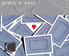 Bingo w  Hart
