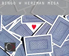 Bingo w  Herzman Mesa