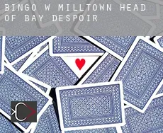Bingo w  Milltown-Head of Bay D'Espoir