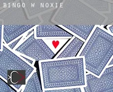 Bingo w  Noxie