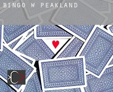 Bingo w  Peakland