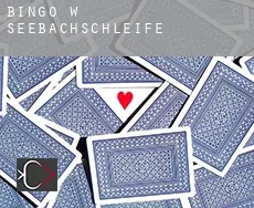 Bingo w  Seebachschleife