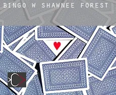 Bingo w  Shawnee Forest