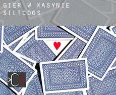 Gier w kasynie  Siltcoos