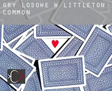 Gry losowe w Littleton
