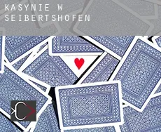 Kasynie w Seibertshofen