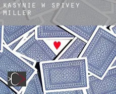 Kasynie w Spivey Miller