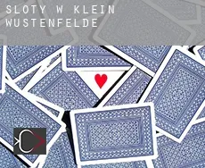 Sloty w  Klein Wüstenfelde