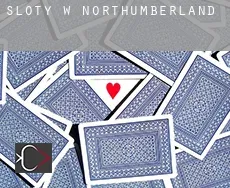 Sloty w  Northumberland