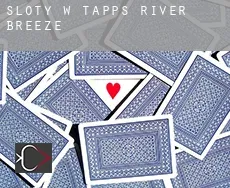 Sloty w Tapps River Breeze
