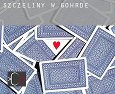 Szczeliny w  Göhrde