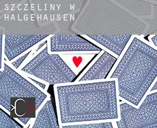 Szczeliny w Halgehausen