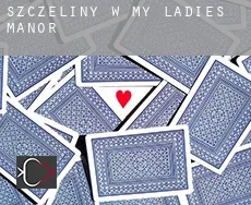 Szczeliny w  My Ladies Manor