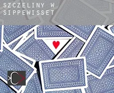 Szczeliny w  Sippewisset