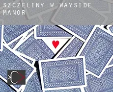 Szczeliny w  Wayside Manor