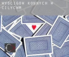 Wyścigów konnych w  Cilycwm