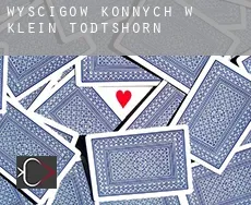 Wyścigów konnych w  Klein Todtshorn