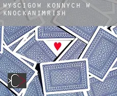 Wyścigów konnych w  Knockanimrish
