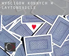 Wyścigów konnych w  Laytonsville