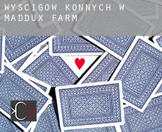Wyścigów konnych w  Maddux Farm