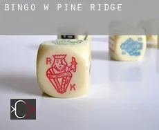 Bingo w  Pine Ridge