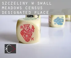 Szczeliny w  Swall Meadows