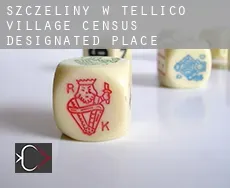 Szczeliny w  Tellico Village