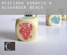 Wyścigów konnych w  Alexander Beach