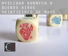 Wyścigów konnych w Partido de Veinticinco de Mayo (Buenos Aires)