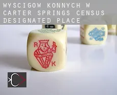 Wyścigów konnych w  Carter Springs