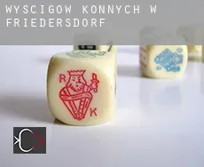 Wyścigów konnych w Friedersdorf
