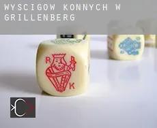 Wyścigów konnych w  Grillenberg