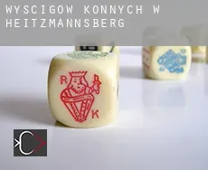 Wyścigów konnych w Heitzmannsberg