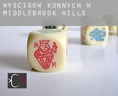Wyścigów konnych w  Middlebrook Hills