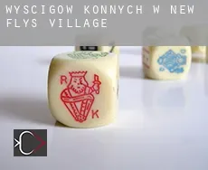 Wyścigów konnych w  New Flys Village