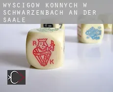 Wyścigów konnych w Schwarzenbach an der Saale
