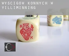 Wyścigów konnych w  Yilliminning