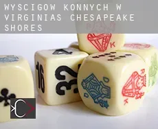 Wyścigów konnych w  Virginias Chesapeake Shores