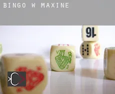 Bingo w  Maxine