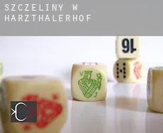 Szczeliny w Harzthalerhof