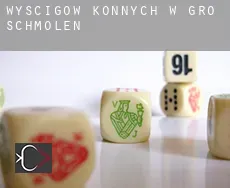 Wyścigów konnych w  Groß Schmölen