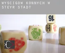 Wyścigów konnych w  Steyr Stadt